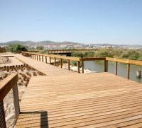 2026-02-22 Caminhada pelos passadiços Alverca